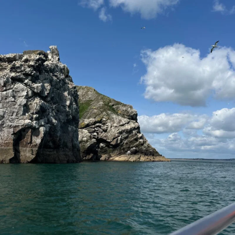 Dublin Vera Artikel Bild1