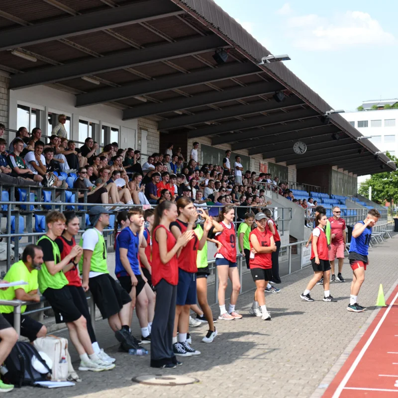 Cervelat Cup 2026 48