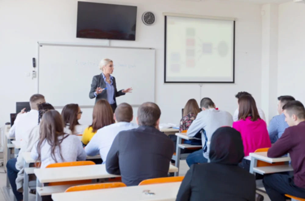 Wb blog professional bachelor inhalt