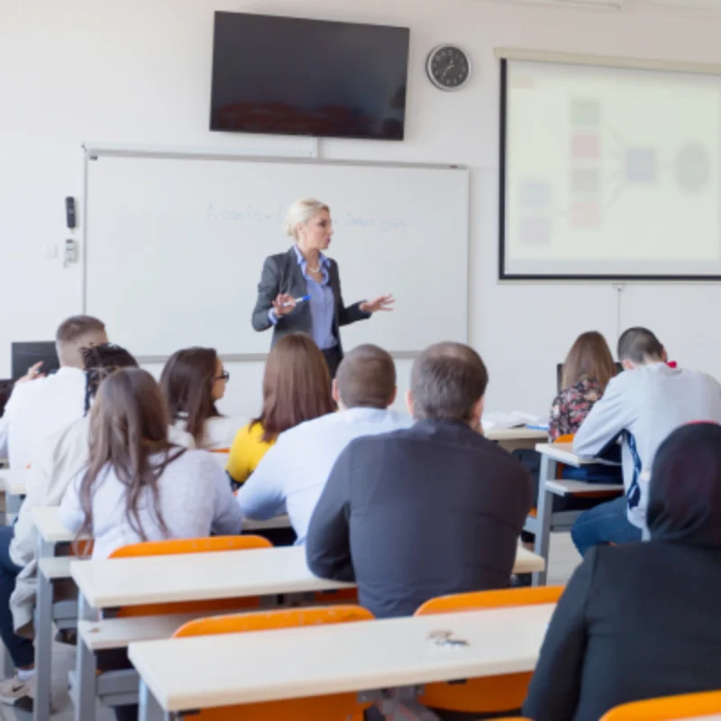 wb-blog-professional-bachelor